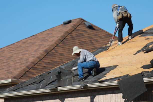 Emergency Roof Repair in Trenton, GA