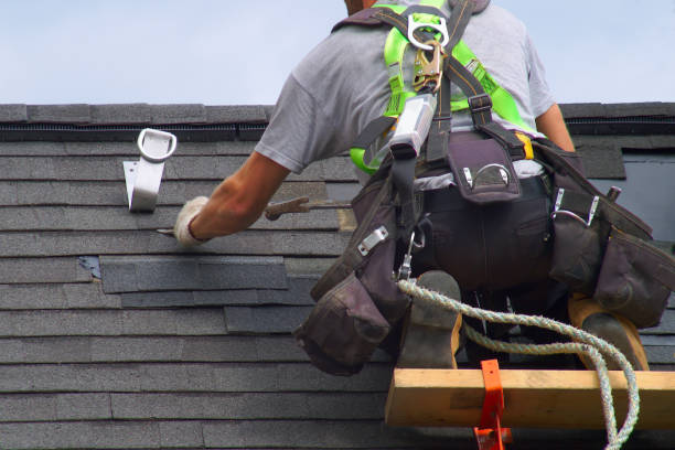 Best Roof Moss and Algae Removal  in Trenton, GA
