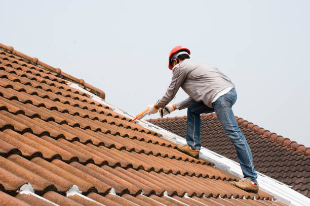 Best Commercial Roofing Services  in Trenton, GA