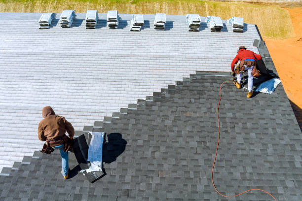 Best Steel Roofing  in Trenton, GA