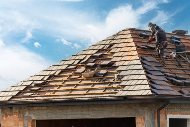 Best Storm Damage Roof Repair  in Trenton, GA