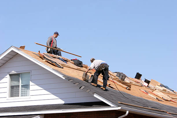 Best Roof Installation  in Trenton, GA