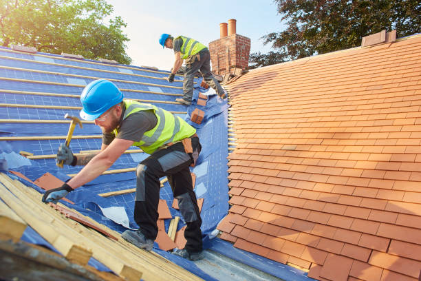 Best Roof Ventilation Installation  in Trenton, GA